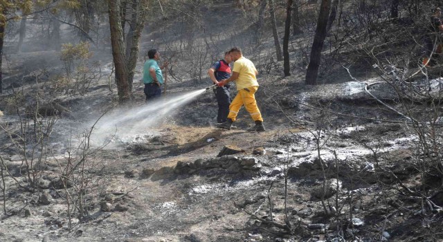 Tokattaki orman yangınında 5 dönümlük alan zarar gördü
