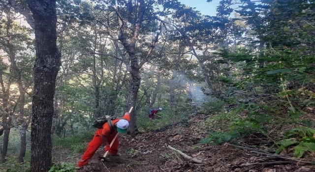 Tuncelide orman yangını büyümeden söndürüldü