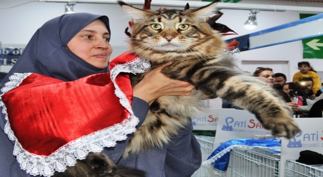 Türkiyenin en büyük pet fuarı Eylülde Ankarada başlayacak