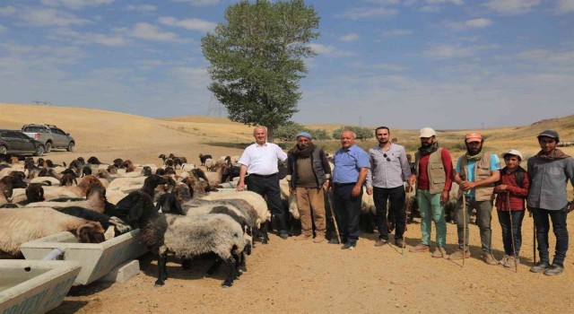 Tuşba Belediyesinden kırsal mahallelere sıvat desteği