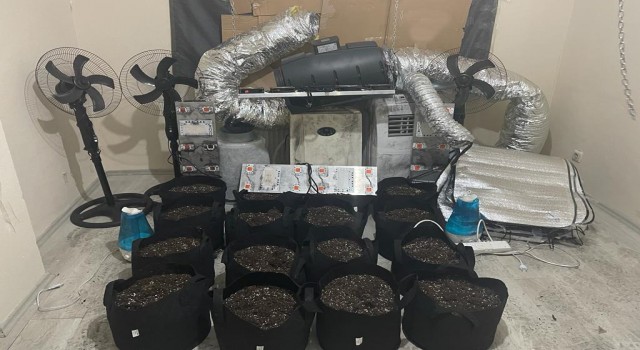 Tuzlada uyuşturucu madde ticareti ve yetiştiriciliği yapan adrese baskın