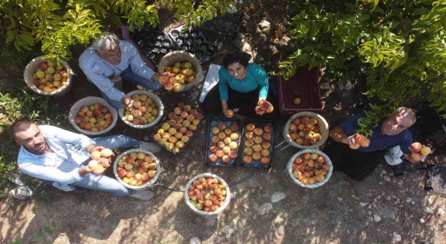 Üreticide 2 TL 30 kuruş, marketlerde 13-14 TL