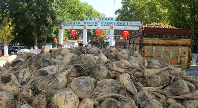 Uşakta lokantacı, pastacı ve tatlıcı esnafında şeker tedarik sıkıntısı