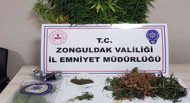 Uyuşturucu operasyonunda 118 kök kenevir ele geçirildi
