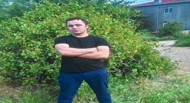 Üzerine ağaç devrilen orman işçisi ağır yaralandı