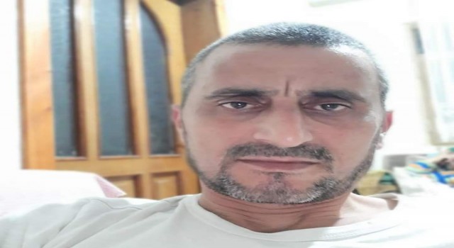 Üzerine ağaç devrilen şahıs hayatını kaybetti