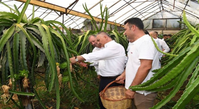 Vali Yazıcı: En çok tarım ve hayvancılıkla uğraşanların kazanmasını isterim