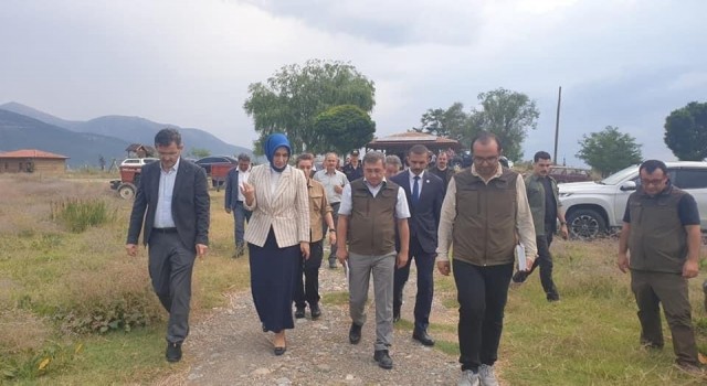 Vali Yiğitbaşı, Eber Gölünde yürütülen çalışmaları inceldi