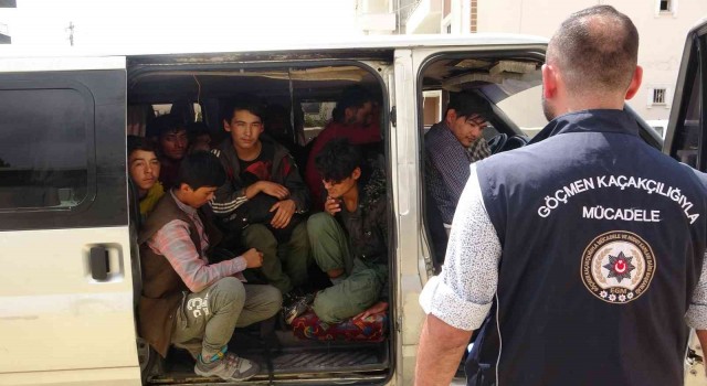 Vanda 10 kişilik minibüste 20 düzensiz göçmen yakalandı