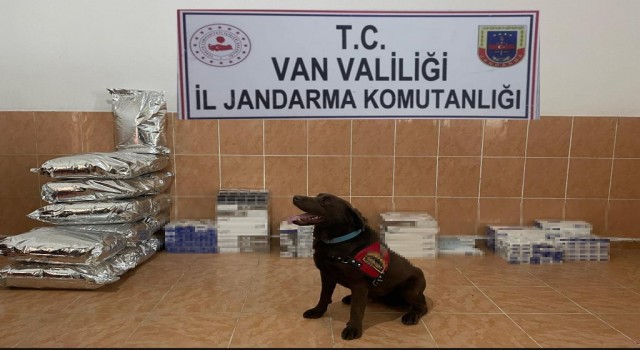 Vanda iki ayda 12 bin 438 paket kaçak sigara ele geçirildi