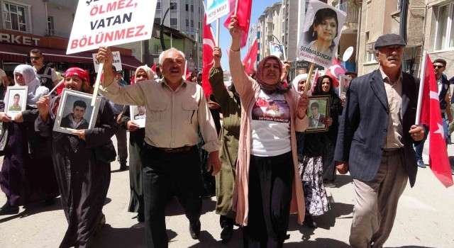Vanlı anneler: Çocuklarımızı alana kadar mücadeleye devam edeceğiz