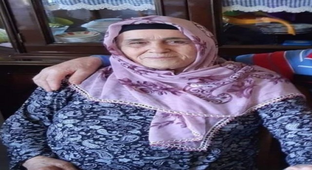 Yalovada tırın altında kalan yaşlı kadın yaşam savaşını kaybetti