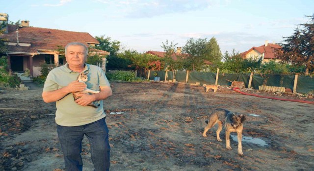 Yangında 40 koyunu telef olan çiftçi: Pes etmeyeceğim