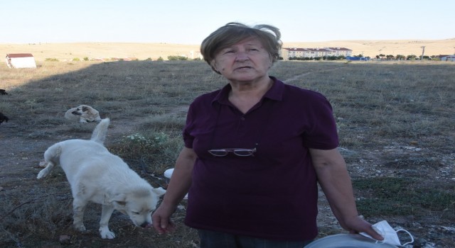 Yaşlı kadına ‘sokakta hayvan besleme tehdidi