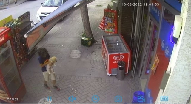 Yavru köpeği önce sevdi, sonra çaldı