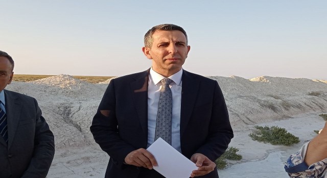 Yavrulamak için Tuz Gölüne gelen flamingolara can suyu