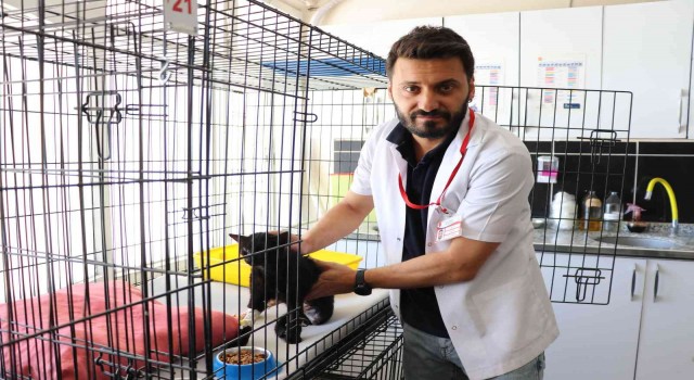 Yeni kırık tedavi yöntemi ilk kez Siirtte uygulandı
