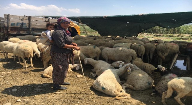 Yerlerinden edilen Yörükler isyan etti