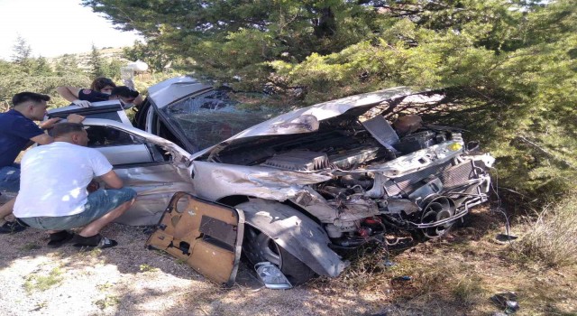 Yol kenarındaki ağaçlık alana dalan otomobilin sürücüsü yaralandı