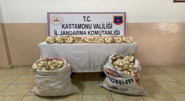 Yol kenarındaki tezgahtan çaldığı sarımsakları pazara götürürken jandarmaya yakalandı
