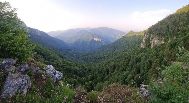Zonguldak, Bartın ve Karabükte ormanlık alanlara giriş çıkışlar sınırlandırıldı