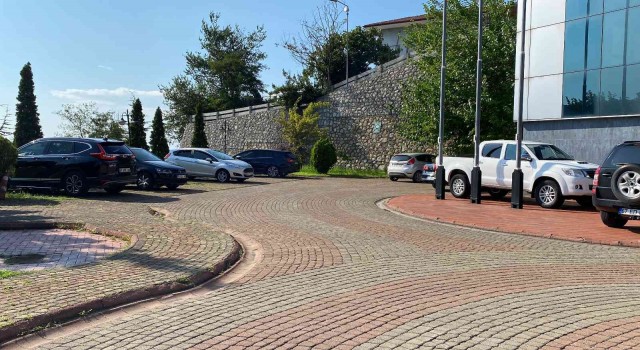 Zorlu Enerji, Zonguldakta iki araçlık şarj istasyonu kuracak