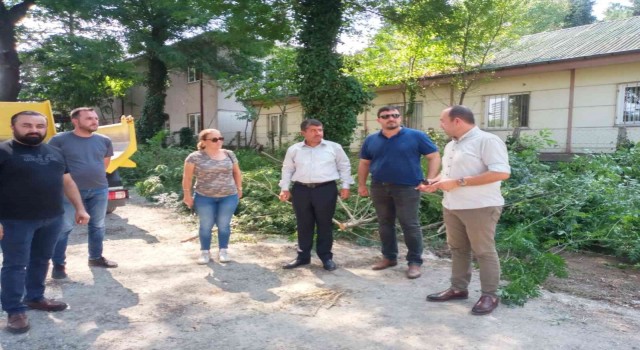1,5 dönümlük park, antik kente çok yakışacak