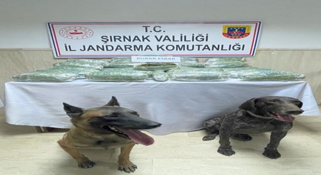 28 kilo 542 gram kubar esrar Yüzey ve Sikletin burnundan kaçmadı