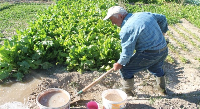 69 yaşındaki baba bağda üretiyor genç oğlu tezgahta satıyor