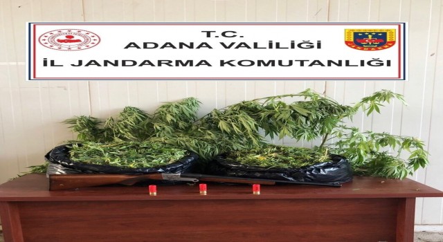 Adanada uyuşturucu operasyonu