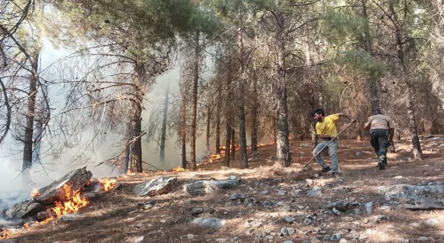 Adıyamanda orman yangını başladı