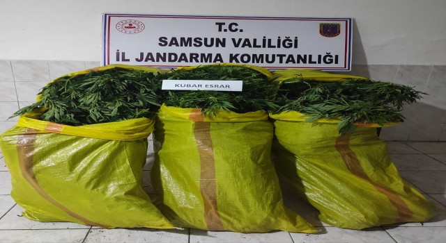 Adli kontrol şartıyla serbest bırakılan uyuşturucu şüphelisi tutuklandı