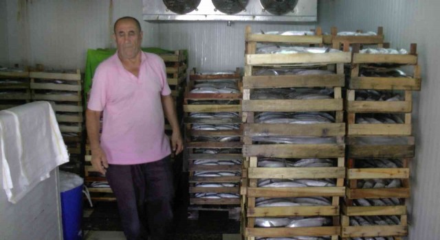 Akçakocadan 3 bin kasa palamut çıktı