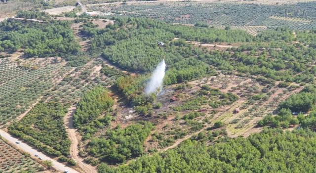 Akhisardaki orman yangını kontrol altına alındı