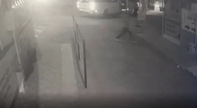 Akli dengesi yerinde olmadığı iddia edilen genç, çevreye zarar verdi
