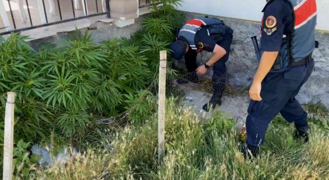 Aksarayda 2 köyde uyuşturucu operasyonu: 1i kadın 2 gözaltı