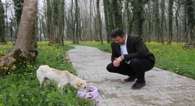 Akyazı Belediyesinden çocuklar için yarışma