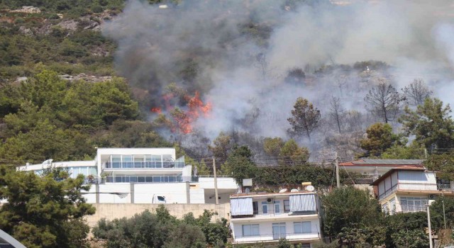 Alanyada orman yangını