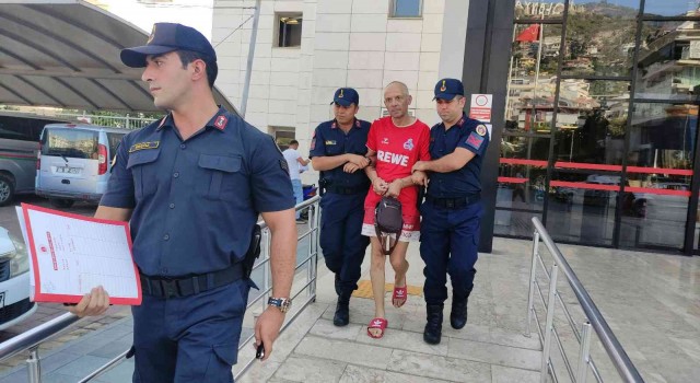 Alanyada otomobil ve bisiklet çalan Alman tutuklandı