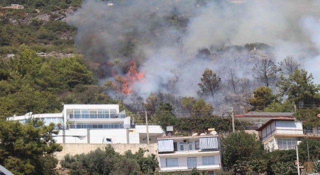 Alanyada yerleşim yerine yakın alanda çıkan orman yangını kontrol altına alındı