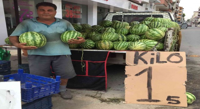 Alaşehirde karpuzun fiyatı 1 buçuk liraya düştü