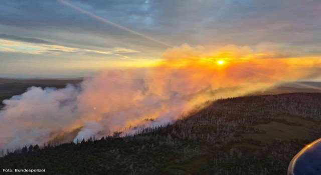 Almanyadaki Harz Dağlarında orman yangını