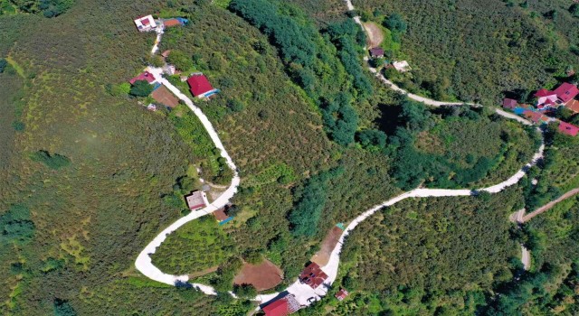 Altınorduda beton yol çalışmaları sürüyor