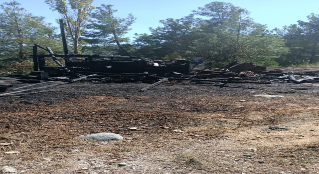 Ambar yangınında tonlarca buğday ve arpa küle döndü