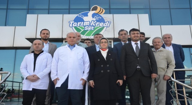 Ankara Milletvekili Lütfiye Selva Çam Başkan Alpi ziyaret etti