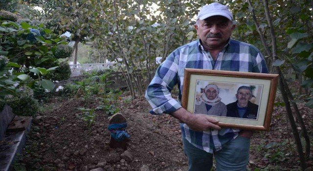 Annesinin kaybolan altın dişlerini arıyor: Getirene 2 ton fındık verecek
