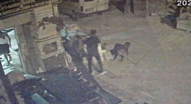 Antalyada akıl almaz olay, tartıştığı arkadaşına sinirlenip aynı ismi taşıyan köpeği vurdu