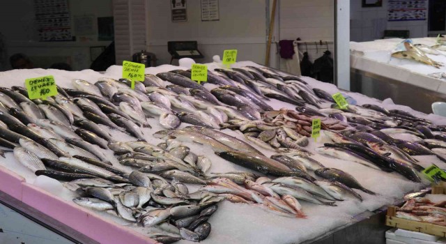 Antalyada av sezonun açılmasıyla balıklar tezgahlardaki yerini aldı