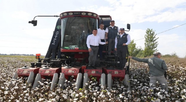 Antalyada ilk pamuk hasatı