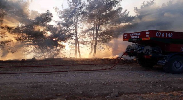 Antalyada orman yangını büyümeden söndürüldü